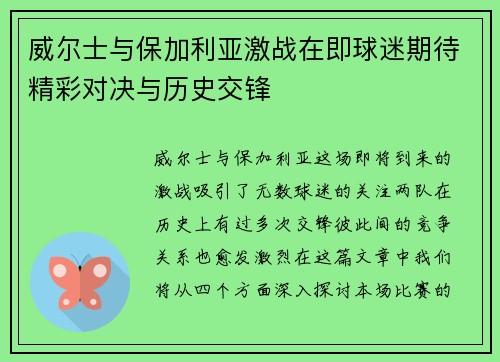 威尔士与保加利亚激战在即球迷期待精彩对决与历史交锋
