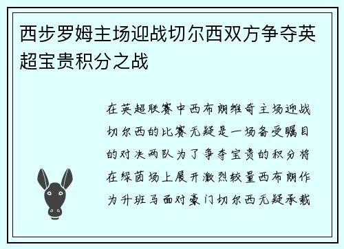 西步罗姆主场迎战切尔西双方争夺英超宝贵积分之战